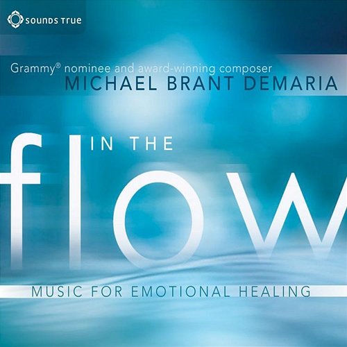 In The Flow Michael Brant DeMaria