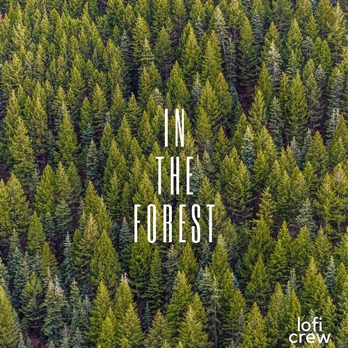 In The Forest Calm Lofi Beats