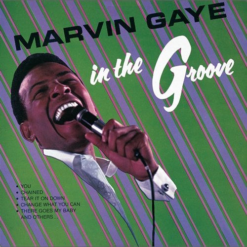 In The Groove Marvin Gaye