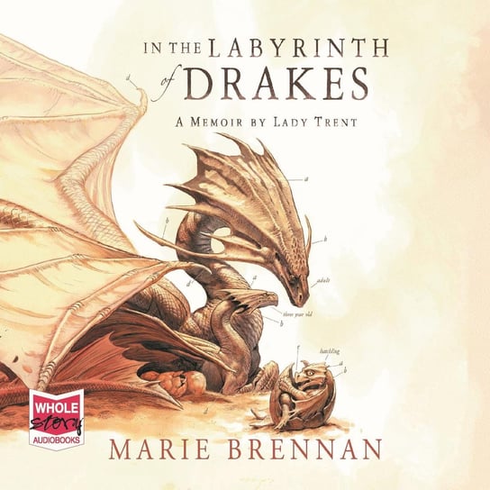 In the Labyrinth of Drakes Marie Brennan