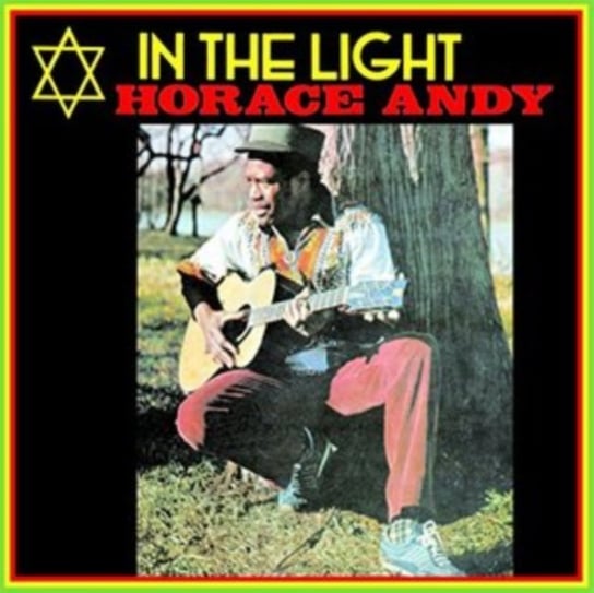 In The Light / In The Light Dub Andy Horace