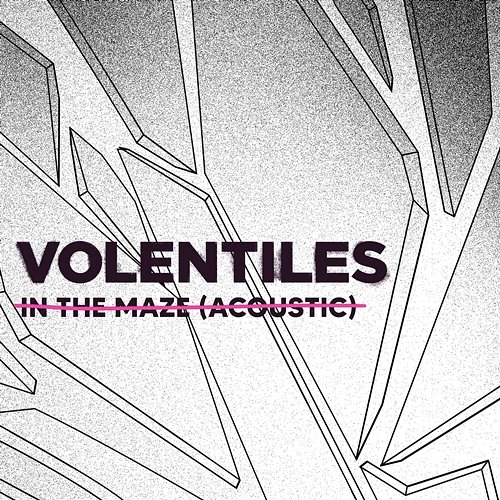 IN THE MAZE (ACOUSTIC) Volentiles