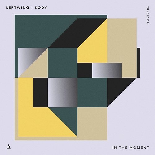 In the Moment Leftwing : Kody