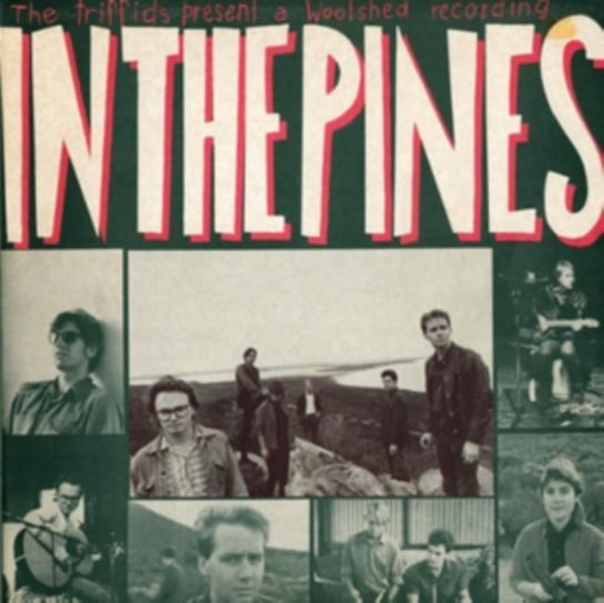 In The Pines The Triffids