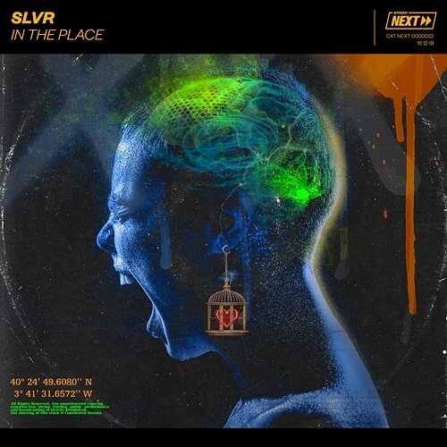 In The Place SLVR