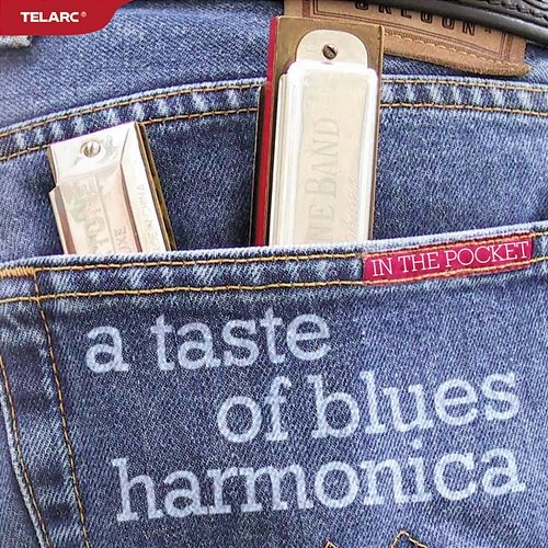 In The Pocket: A Taste Of Blues Harmonica Various Artists