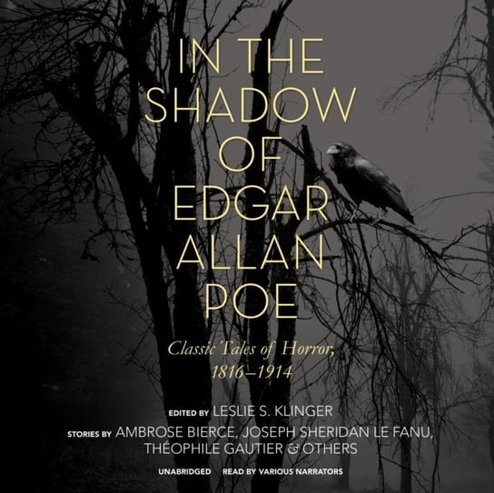 In the Shadow of Edgar Allan Poe Gautier Theophile, Le Fanu Joseph Sheridan, Bierce Ambrose, Klinger Leslie S.