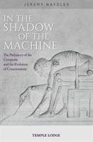 In The Shadow of the Machine Naydler Jeremy