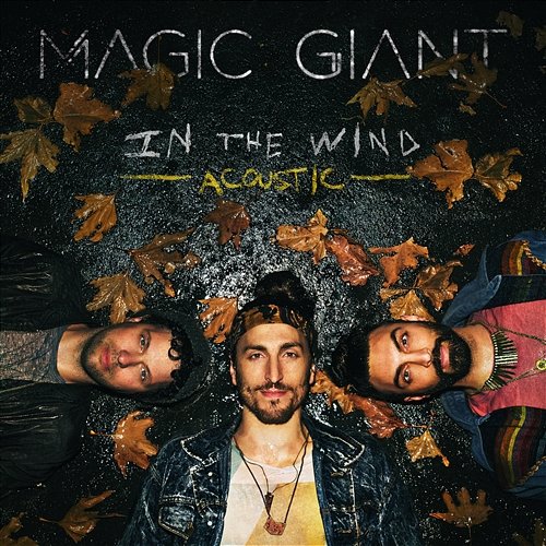 In The Wind Magic Giant