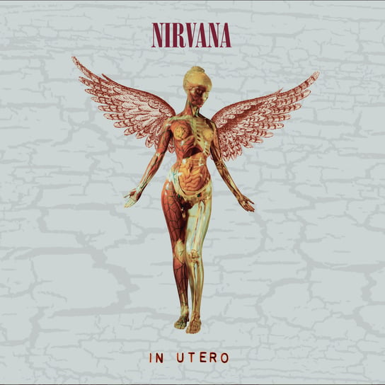 In Utero (Deluxe Edition) Nirvana