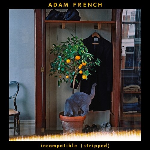 Incompatible Adam French