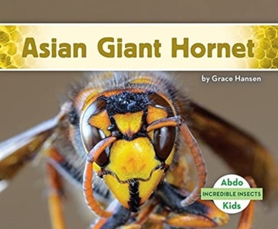 Incredible Insects: Asian Giant Hornet Grace Hansen