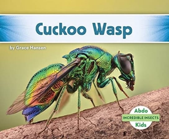 Incredible Insects: Cuckoo Wasp Grace Hansen