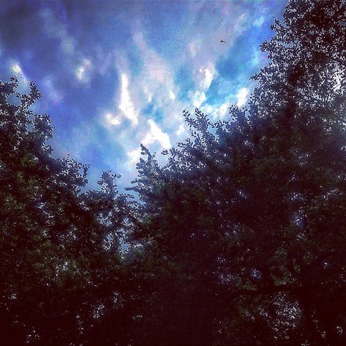 Indeay The Empty Fields