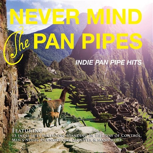 Indie Pan Pipe Hits Never Mind The Pan Pipes