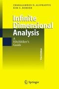 Infinite Dimensional Analysis Aliprantis Charalambos D., Border Kim C.