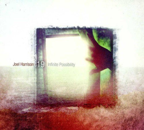 Infinite Possibility Harrison Joel