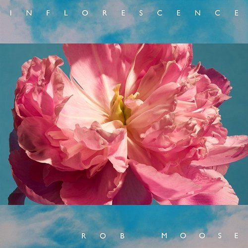 Inflorescence Rob Moose