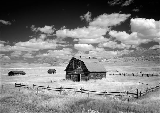 Infrared view of barn in rural Montana, USA., Carol Highsmith - plakat 59,4x42 cm Galeria Plakatu