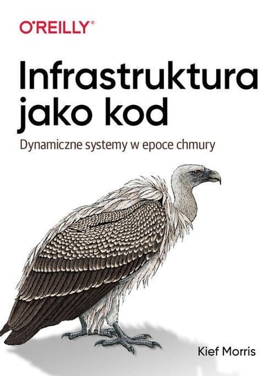 Infrastruktura jako kod. Dynamiczne systemy w epoce chmury Morris Kief