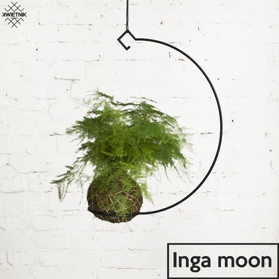 Inga Moon kwietnik podwieszany Kwietnik Design
