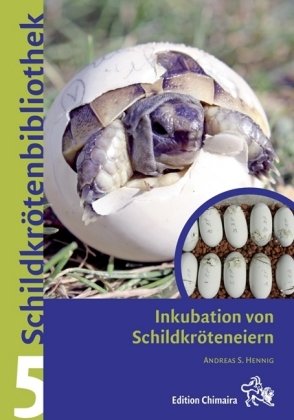 Inkubation von Schildkröteneiern Chimaira