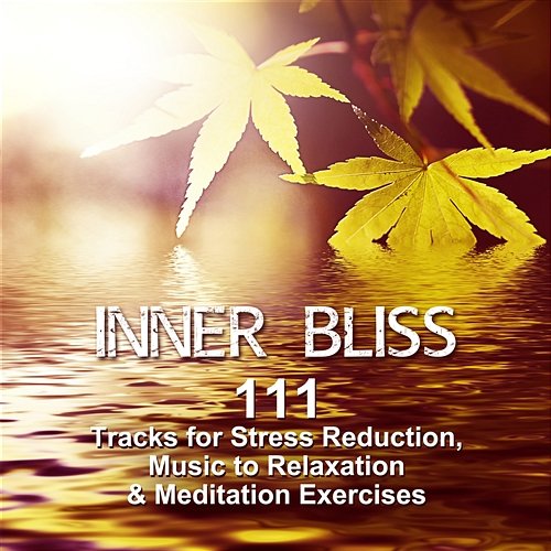 Inner Bliss: 111 Tracks for Stress Reduction, Music to Relaxation & Meditation Exercises, Anxiety Treatment Mindfullness Meditation World