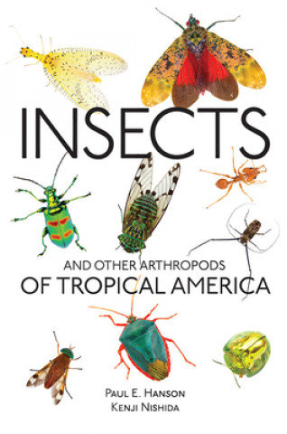 Insects and Other Arthropods of Tropical America Hanson Paul