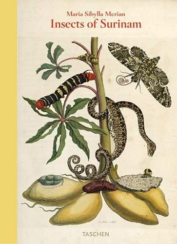 Insects of Surinam Merian Maria Sibylla