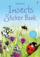 Insects Sticker Book Usborne