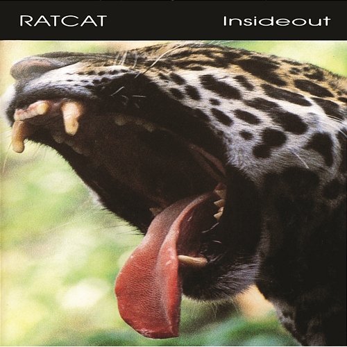 Inside Out Ratcat