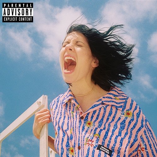 Inside Voices K.Flay