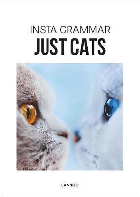 Insta Grammar Just Cats Schampaert Irene