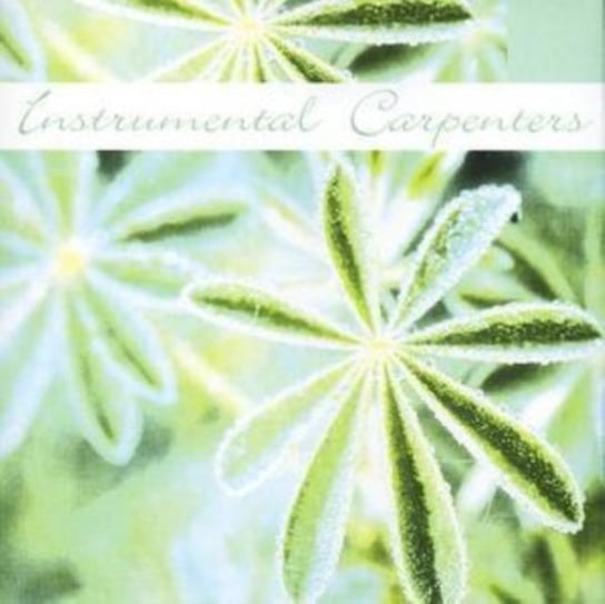 Instrumental Carpenters Various Artists