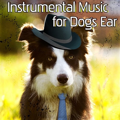 Instrumental Music for Dogs Ear: Pets Relaxation, Comfort & Happiness, Jazz Music for Pets While You're Out Pet Care Club