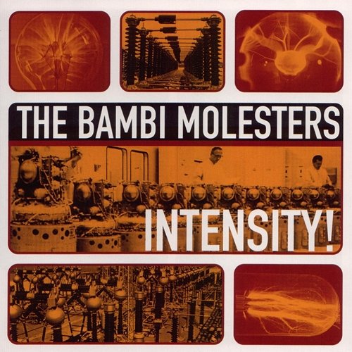 Intensity! The Bambi Molesters