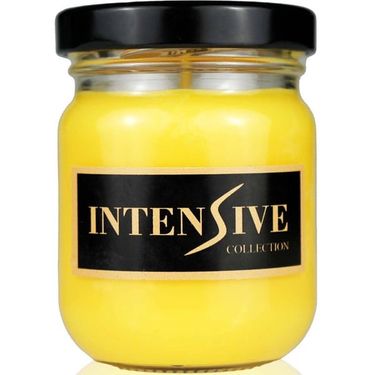 Intensive Collection sojowa świeca zapachowa w słoiku 90 g - Fresh Citronella Intensive Collection