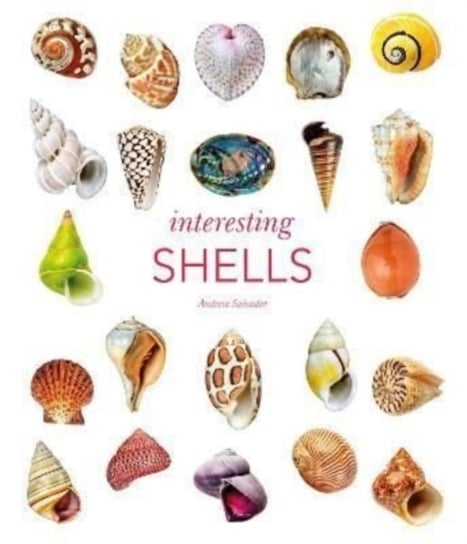 Interesting Shells Andreia Salvador