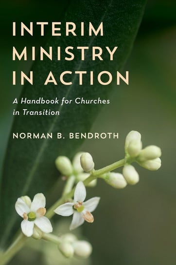 Interim Ministry in Action Bendroth Norman B.