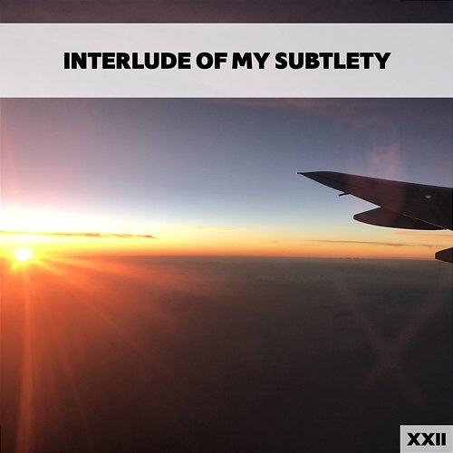 Interlude Of My Subtlety XXII Various Artists