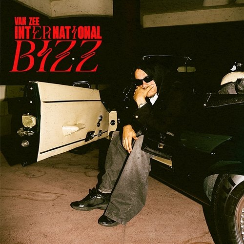International Bizz Van Zee