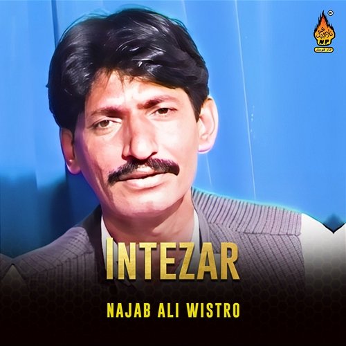 Intezar Najab Ali Wistro