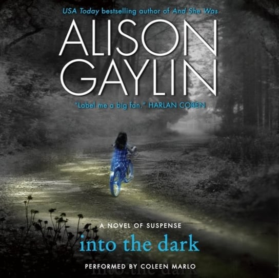 Into the Dark Gaylin Alison