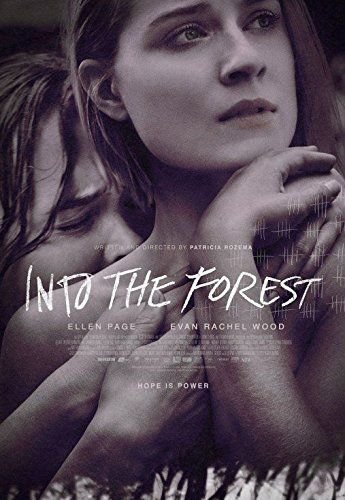 Into the Forest (Głusza) Rozema Patricia
