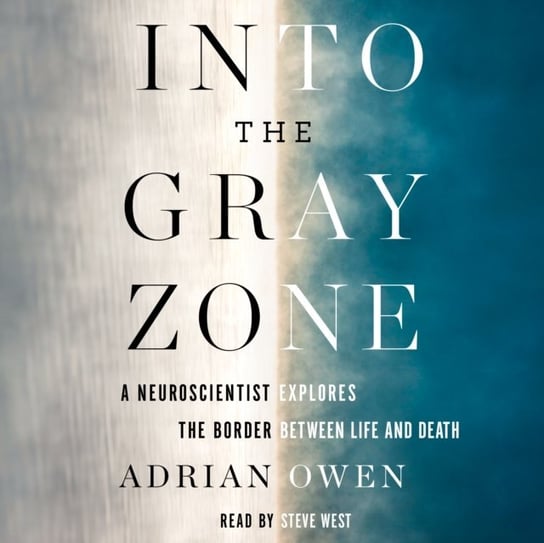 Into the Gray Zone Owen Adrian