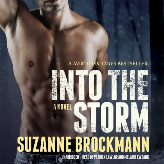 Into the Storm Brockmann Suzanne