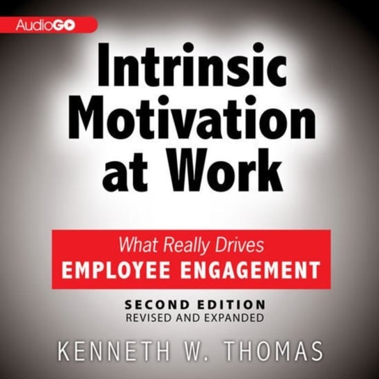 Intrinsic Motivation at Work, 2nd Edition Thomas Kenneth W.