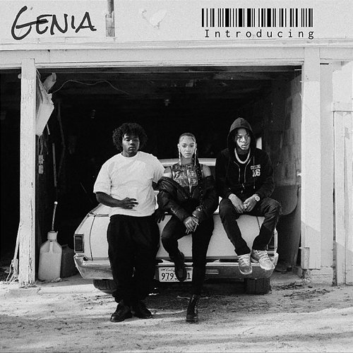 Introducing Genia