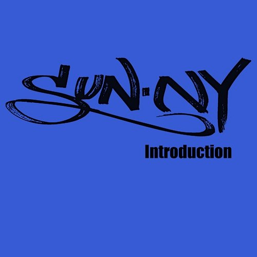 Introduction SunN.Y