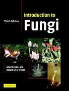 Introduction to Fungi Webster Revd John, Weber Roland W. S.
